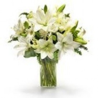 Lilies blancos