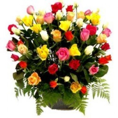 Arreglo de 50 rosas mix