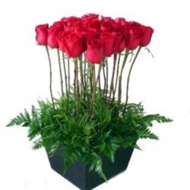Jard�n de rosas
