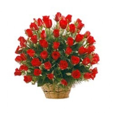 Mas de 70 rosas