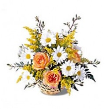 Flores variadas