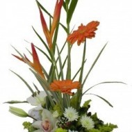 Orchide arrangement