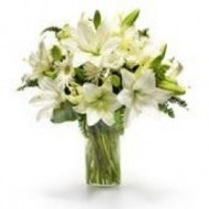 Lilies blancos