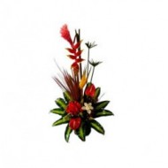 Arrangement of roses, anturios, tropical flowers and an orchid