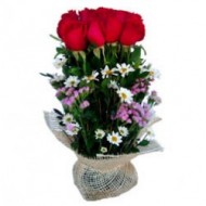 Arrangement of 12 roses 