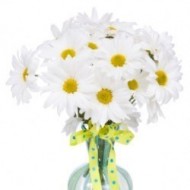 Arreglo de Daisies Blancos
