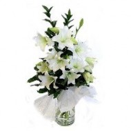 White lilies