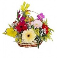 Gerberas y m�s