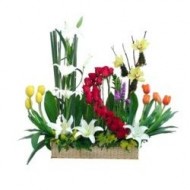 Aroma de pradera
