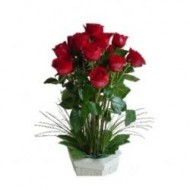 Arreglo de 20 rosas