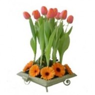 Tulipanes y gerberas