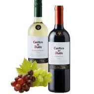 Vino Tinto y Blanco