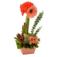 Gerberas y m�s