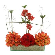 Hermoso rojo - S�lo para Quito