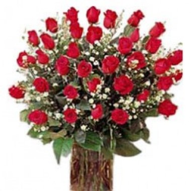 3 docenas de rosas