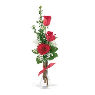 Tres rosas en florero