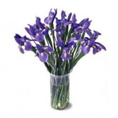 Arreglo de iris