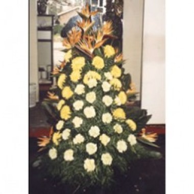 Arreglo de palma