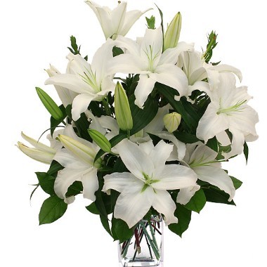 Lilies Blancos