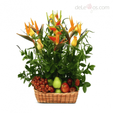 Para�so Frutal