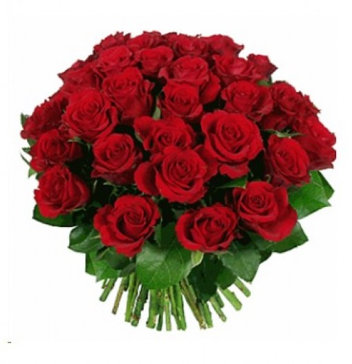 Bouquet de tres docenas de rosas