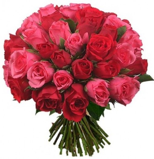Bouquet de tres docenas de rosas rojas y rosadas