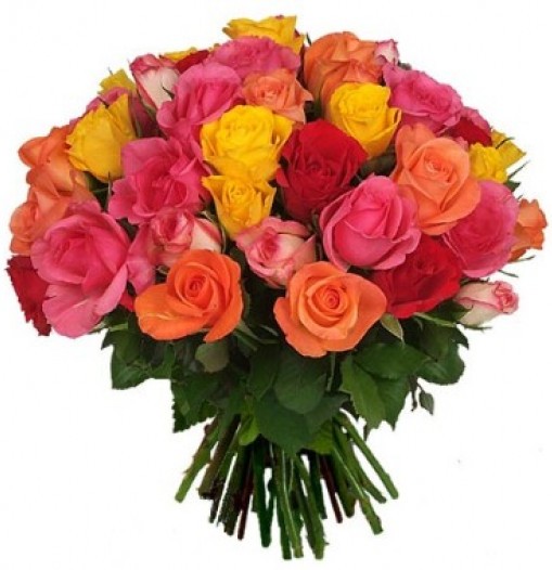 Bouquet de tres docenas de rosas de colores
