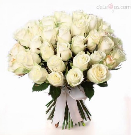 Bouquet de tres docenas de rosas blancas