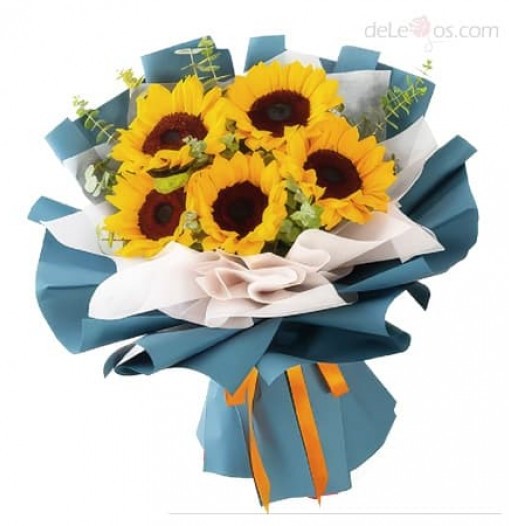 Girasoles para Valentin