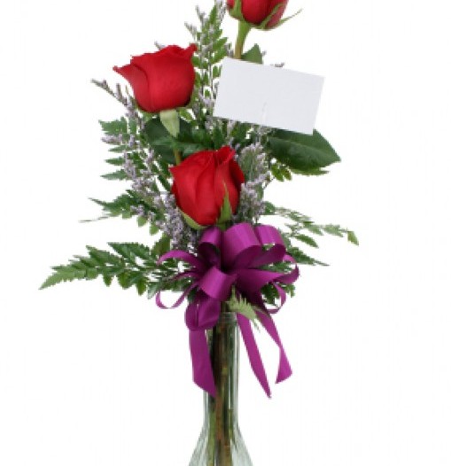 Detalle de Rosas